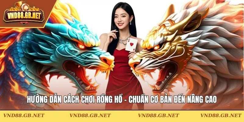 Hướng Dẫn Cách Chơi Rồng Hổ – Chuẩn Cơ Bản Đến Nâng Cao