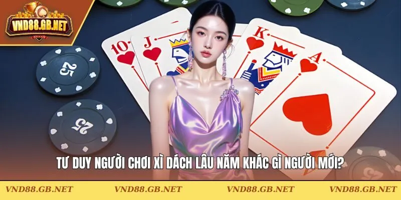 Chơi xì dách lâu năm